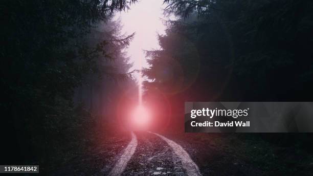 a ufo, light beam coming down on to a muddy track through an atmospheric conifer forest. on a moody, misty day. - ufo abduction stock pictures, royalty-free photos & images