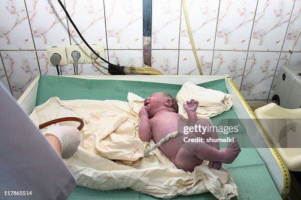 newborn child at the age of one minute - umbilical cord stock pictures, royalty-free photos & images