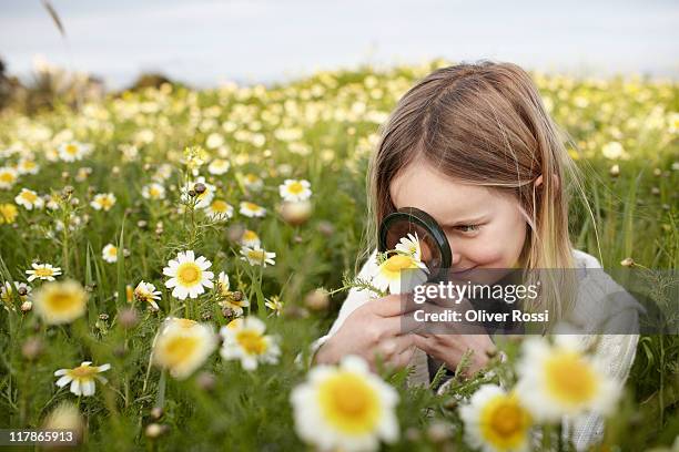 portrait of a young girl in a flower meadow - magnifying glass nature stock-fotos und bilder