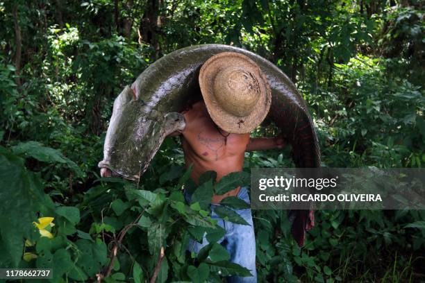 Fisherman carries a large Pirarucu at the Piagacu-Purus Sustainable Development Reserve in Amazonas state, Brazil, on October 24, 2019. - The...