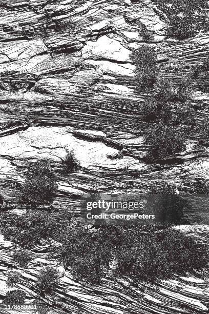 layers of navajo sandstone at zion national park, utah - zion national park stock illustrations