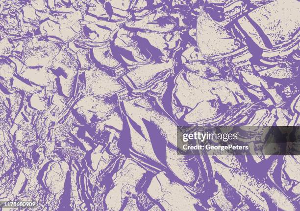 mezzotint vector background of dried, cracked mud texture - clay stock illustrations