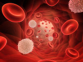 A 3D rendering of a bunch of red and white blood cells