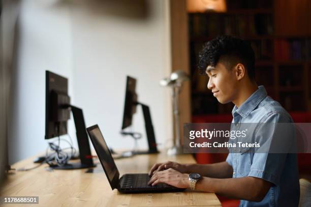 young man working in a co-working office - stillahavsasien bildbanksfoton och bilder