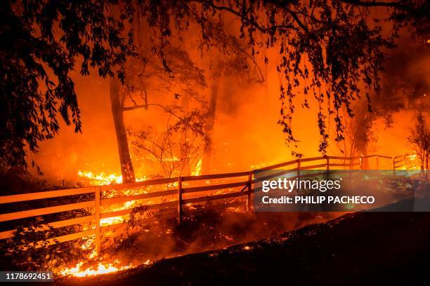Wind-driven fire burns along Faught Road during the Kincade fire in Windsor, California on October 27, 2019. - California's governor declared a...