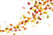 Autumn leaves Dancing (watercolor pencil texture)