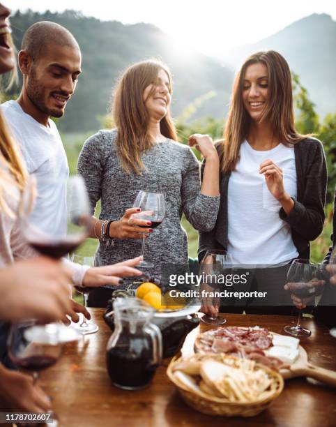picnic all together outdoors - table aperitif stock pictures, royalty-free photos & images
