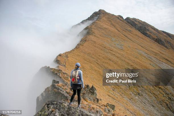 young woman hiking to moldoveanu peak, fagaras mountains, carpathian mountain range, romania - alps romania stock pictures, royalty-free photos & images