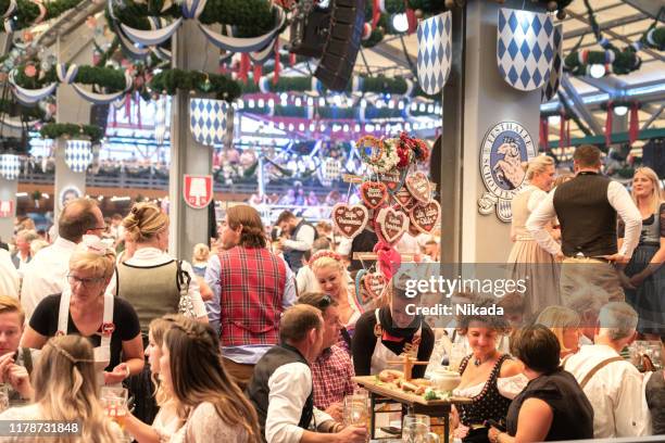 visitantes que comemoram oktoberfestfest na barraca da cerveja, munich, alemanha - beer hall - fotografias e filmes do acervo