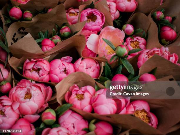 bunches of pink peonies - peony foto e immagini stock