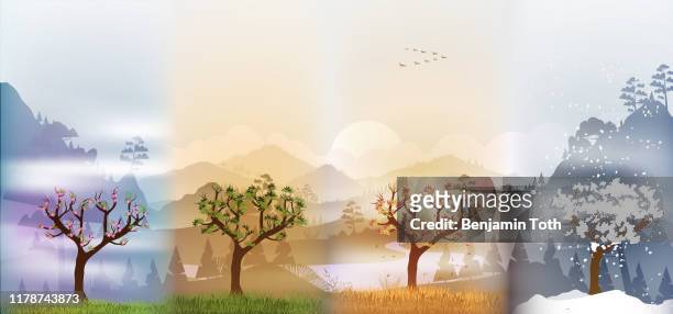 tree in four seasons background - nature winter landscape stock illustrations
