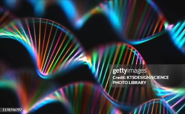 dna molecules, illustration - dna strand stock pictures, royalty-free photos & images