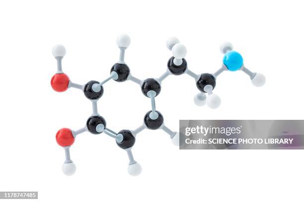 dopamine molecule - dopamine stock pictures, royalty-free photos & images