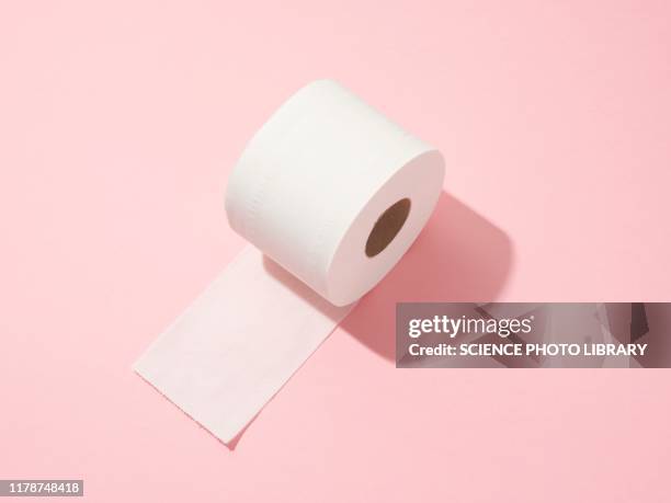 toilet roll - toilet paper stock pictures, royalty-free photos & images