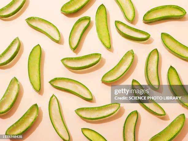 aloe vera - aloe slices stock pictures, royalty-free photos & images