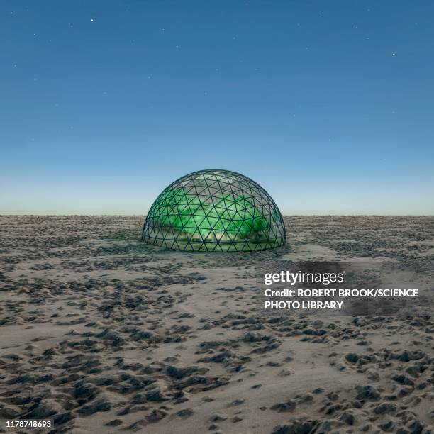 geodesic dome in desert, illustration - cúpula fotografías e imágenes de stock