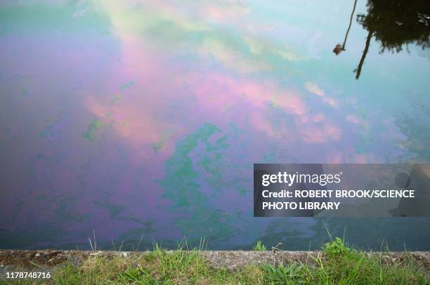 oil slick on canal - immiscible stock pictures, royalty-free photos & images