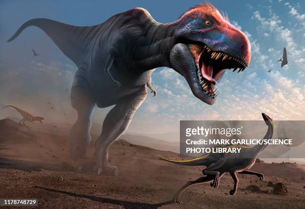 ilustrações de stock, clip art, desenhos animados e ícones de tyrannosaur chasing an ornithomimus, illustration - dinossauro