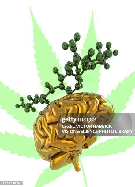 brain and cannabis, illustration - hemp leaf stock illustrations
