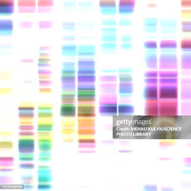 Biochemistry Pattern Biochemistry Pattern Photos and Premium High Res Pictures - Getty Images