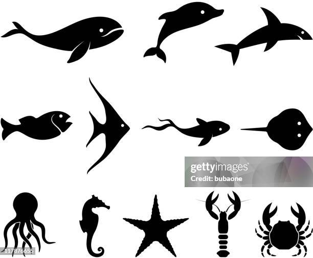 unterwasserwelt schwarz und weiß lizenzfreie vektor icon-set - seepferd stock-grafiken, -clipart, -cartoons und -symbole