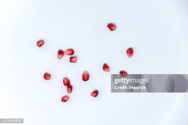 scattered pomegranate seeds - pomegranate stock pictures, royalty-free photos & images