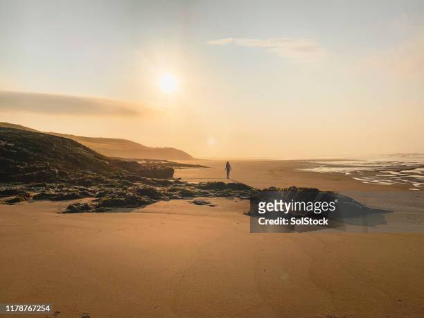 beach adventure - northumberland stock pictures, royalty-free photos & images