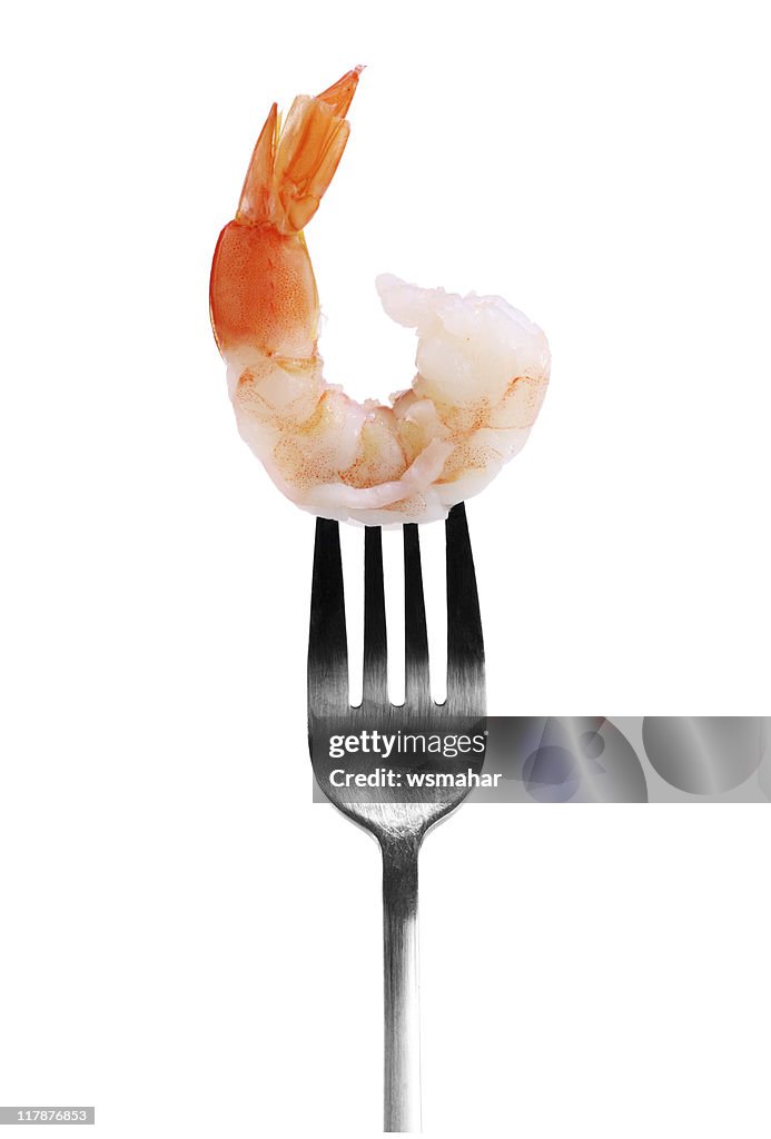 One shrimp on a fork on white background