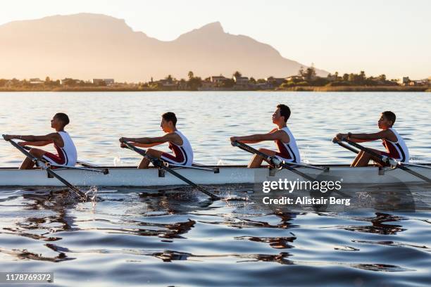 mixed race rowing team training on a lake at dawn - remare foto e immagini stock