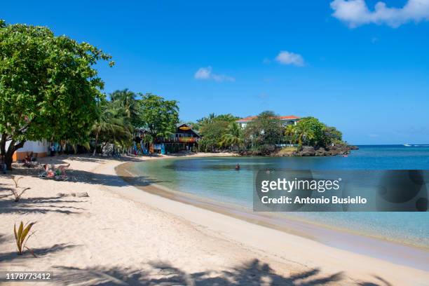 caribbean beach - honduras fotografías e imágenes de stock