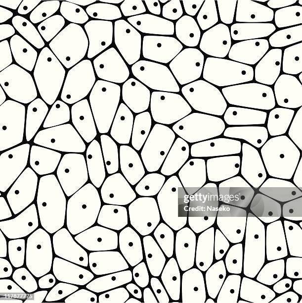 bildbanksillustrationer, clip art samt tecknat material och ikoner med cells-seamless - cellstruktur