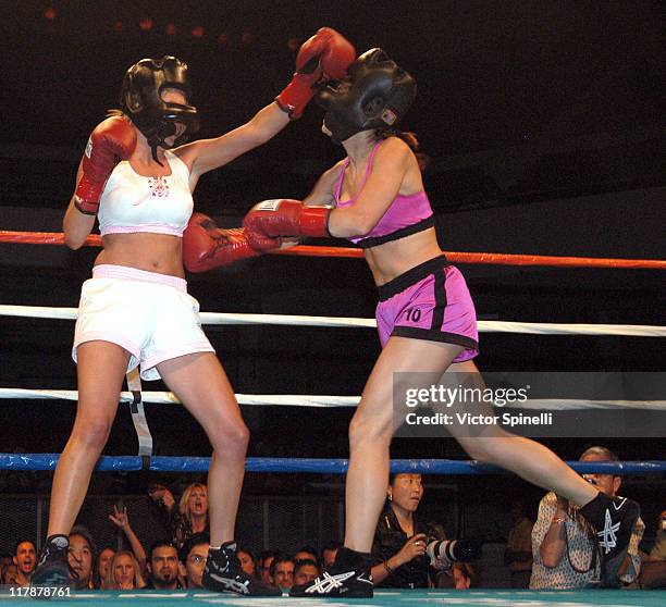 Model Boxing 24 Perfect 10 Model Boxing Stock Photos, High-Res Pictures, and Images ...