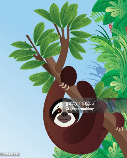sloth animal - colombia travel stock illustrations