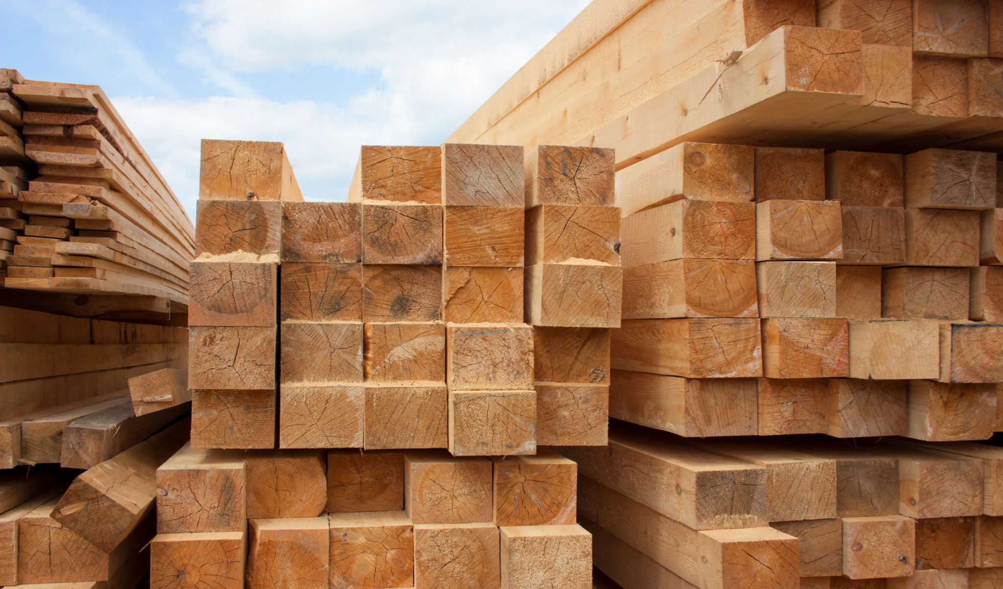 hardwood vs softwood