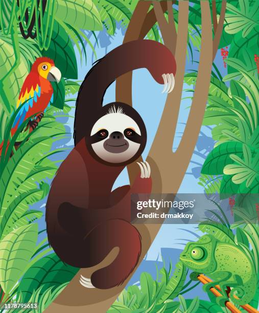 Sloth Animal In Tropical Rainforest High-Res Vector Graphic