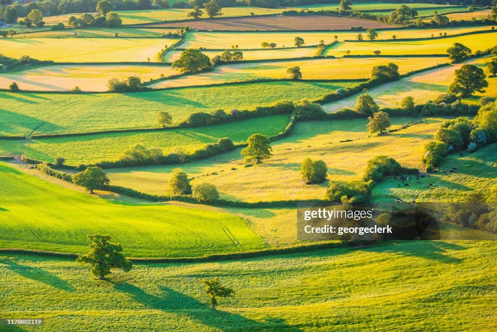 Englische hügelige Agrarlandschaft