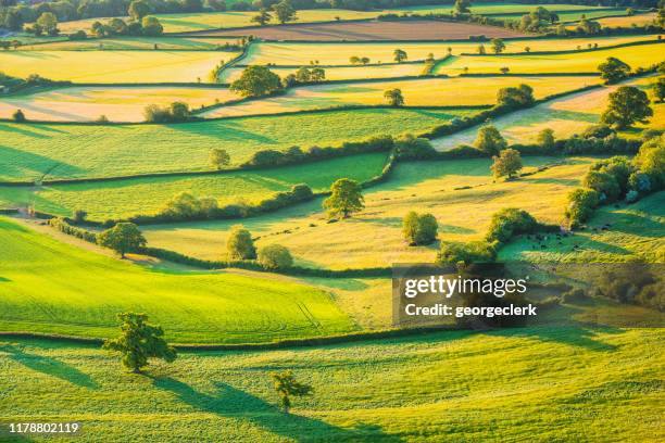 englische hügelige agrarlandschaft - hecke stock-fotos und bilder