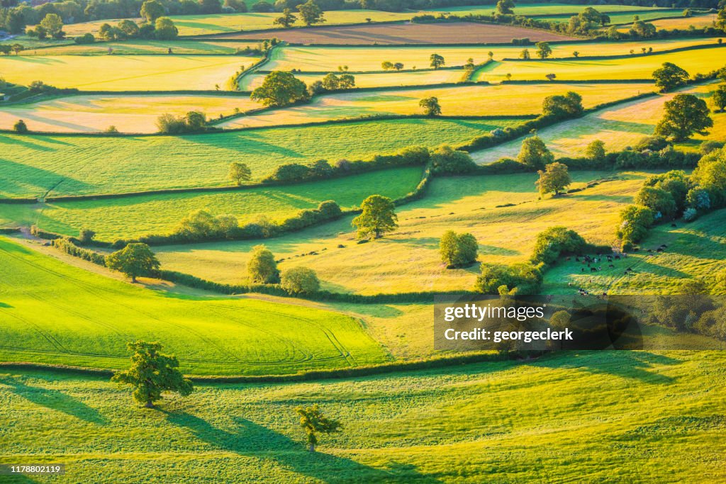 English rolling agricultural landscape