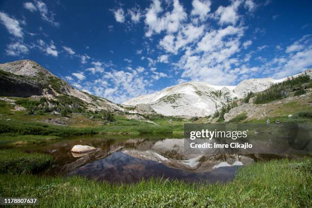 medicine bow national forest - national forest stock pictures, royalty-free photos & images