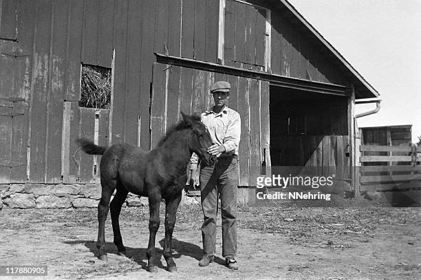 farmer with foal in barnyard 1935, retro - 20th century history stock pictures, royalty-free photos & images