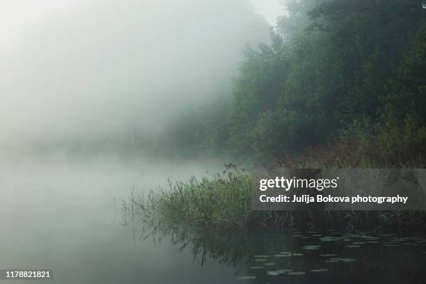 mist on the lake - sala grande foto e immagini stock
