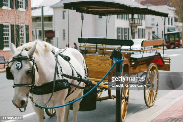 horse and carriage - fredericksburg stock pictures, royalty-free photos & images