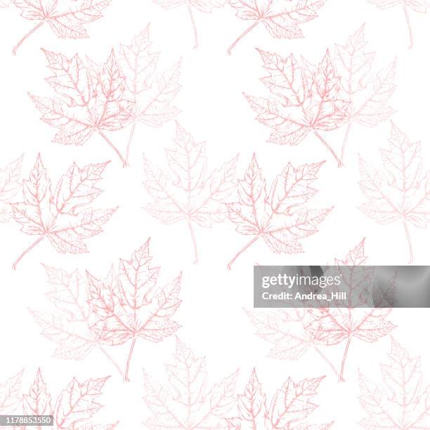 illustrations, cliparts, dessins animés et icônes de maple leaf vector aquarelle et encre seamless pattern - nervure