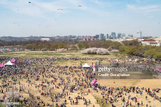during national cherry blossom festival,aerial view national mall in washington dc,usa - festival of remembrance 2019 stock pictures, royalty-free photos & images