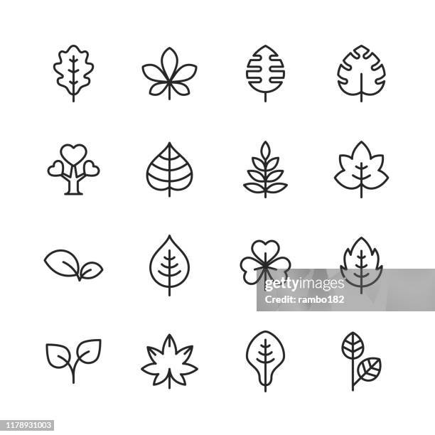 stockillustraties, clipart, cartoons en iconen met blad en plant lijn iconen. bewerkbare lijn. pixel perfect. voor mobiel en internet. bevat dergelijke iconen zoals blad, plant, natuur, milieu, ecologie, eik, palm, esdoorn, dennen. - seizoen