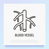 Blood vessel thin line icon. Modern vector illustration.