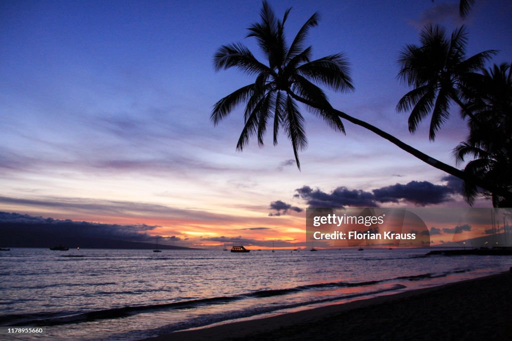 Sunset Maui