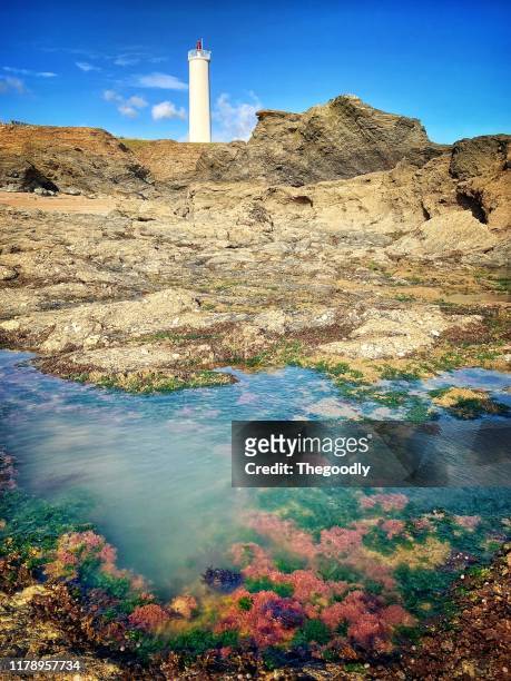 coral rock pool in front of grosse terre lighthouse, saint-hilaire-de-riez, vendee, france - vendée fotografías e imágenes de stock
