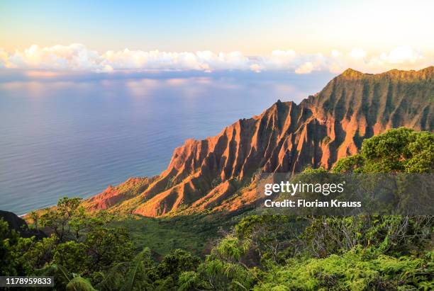 kalalau valley kauai - na pali coast stock pictures, royalty-free photos & images