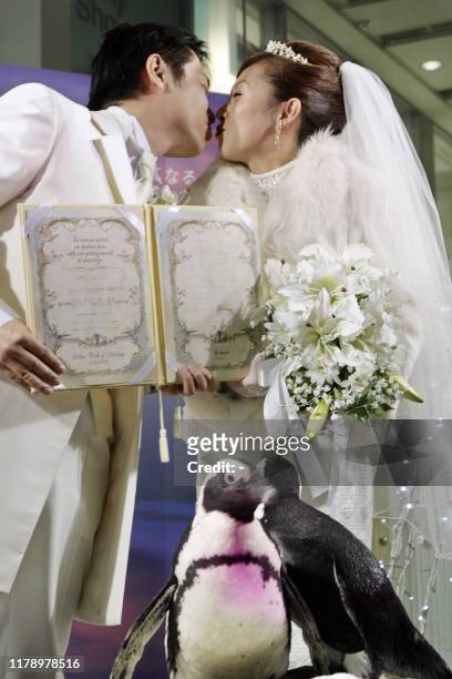 Bride Aki Shibayama and her groom Takuya kiss as they hold a wedding ceremony before crowd of people and cape penguins from Hokkaido's zoo at Tokyo's...